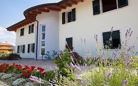 Ab&C Arco Bed And Camping